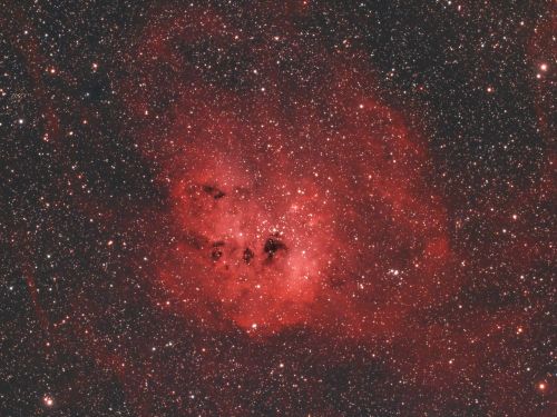 IC 410 Nebulosa Girino