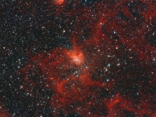 IC417 Nebulosa Ragno