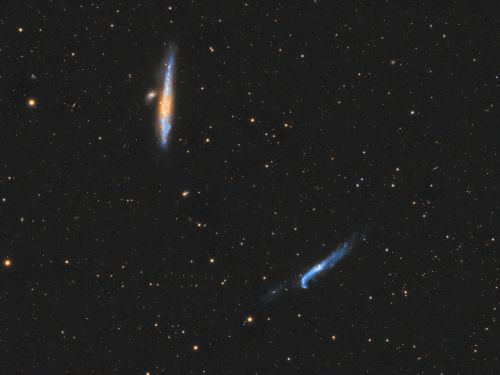 NGC 4631 – NGC 4656 Galassia Balena e Mazza da Hockey
