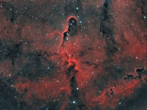 vdB 142 Elephant’s Trunk Nebula