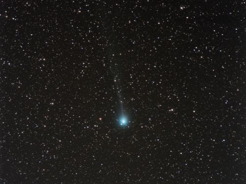 Cometa Lovejoy C/2014 Q2
