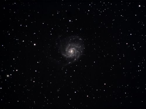 Galassia M 101