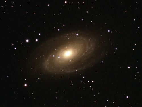 Galassia M81