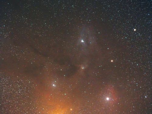 Regione di Antares e Rho Ophiuchi