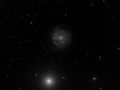 SN2016bkv  in  NGC3184