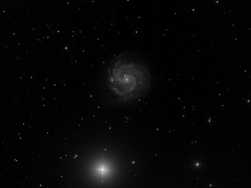 SN2016bkv  in  NGC3184