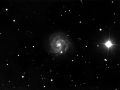 ngc 3184 galassia a spirale in UMA