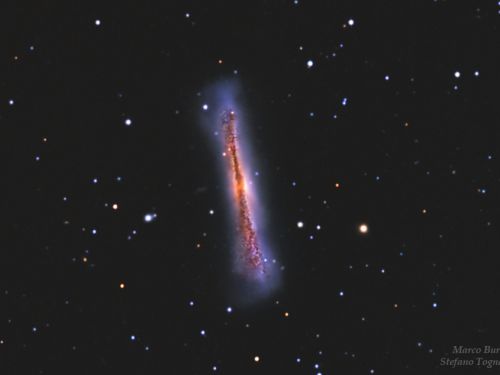 Ngc3628 Hamburger Galaxy