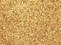 Solar granulation 2020.08.19 C14HD edge  + Astrosolar ND 3.8 Full Aperture 10Micron GM2000HPSII SkRis618M  G Astrodon filter Barlow C.Zeiss 2X (7830 mm Focal Length)