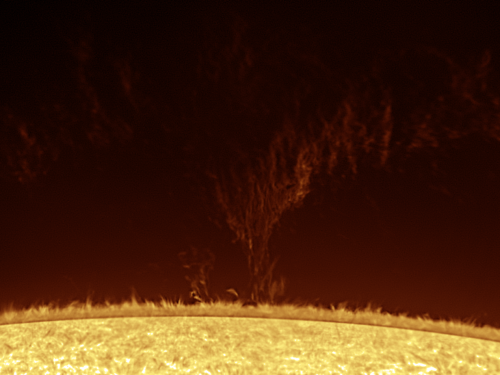 Huge prominence 2020.07.05
