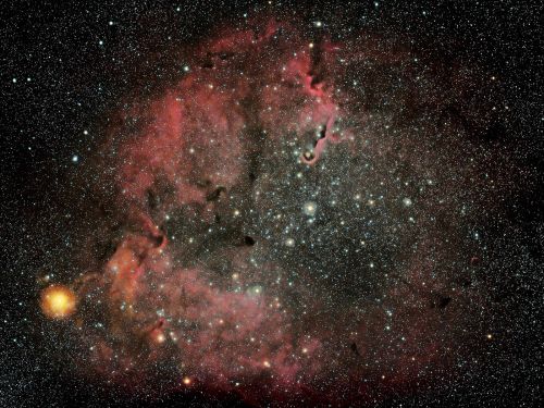 IC1396 – Ammasso aperto + nebulosa "Proboscide"