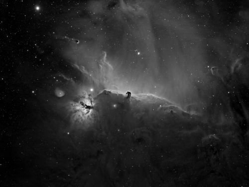 Nebulosa "Testa di cavallo" + "Fiamma"