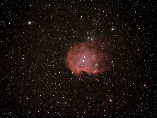 NGC2174 – Nebulosa "Scimmia"