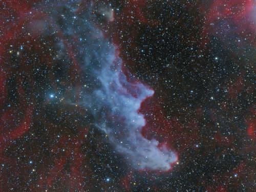 IC2118 "WitchHead" nebula