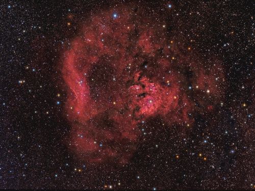 NGC7822 widefield