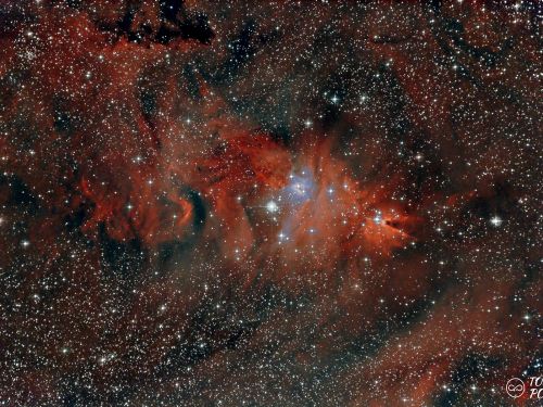 Nebulosa Albero di Natale e Nebulosa Cono dalla Sardegna