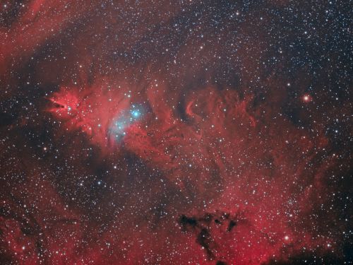Nebulosa a emissione conosciuta con il nome "Cono o Albero di natale"  con l’ammasso aperto di stelle NGC 2264.