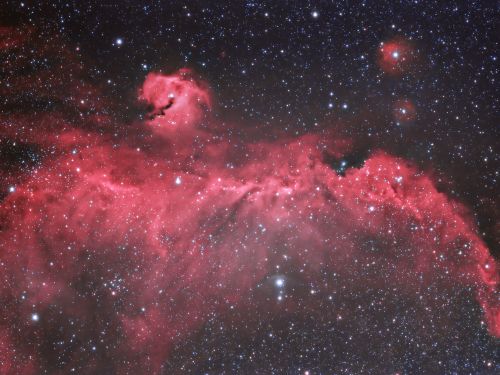 Nebulosa "Il Gabbiano" IC-2177.Nella costellazioni del Cane Maggiore.