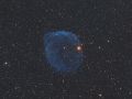 Nebulosa Sh2-308 "il delfino"
