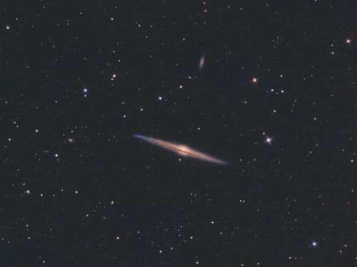 Galassia a spirale NGC 4565 .