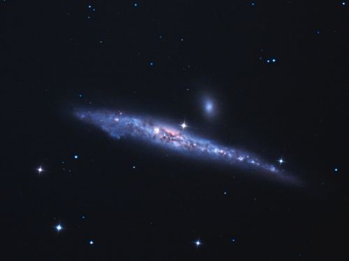 Galassia a spirale NGC 4631