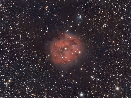 IC5146 Nebulosa Coccon