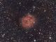 IC5146 Nebulosa Coccon