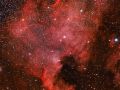 Nebulosa Nord America alias NGC 7000