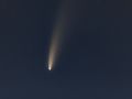 Vi hanno mai portato a vedere una cometa ?