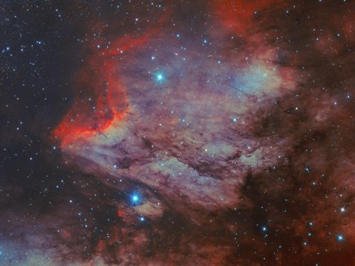 Ic 5070 nebulosa pellicano