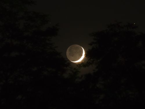 Luna in luce cinerea – Falcetto di Luna crescente tra gli alberi