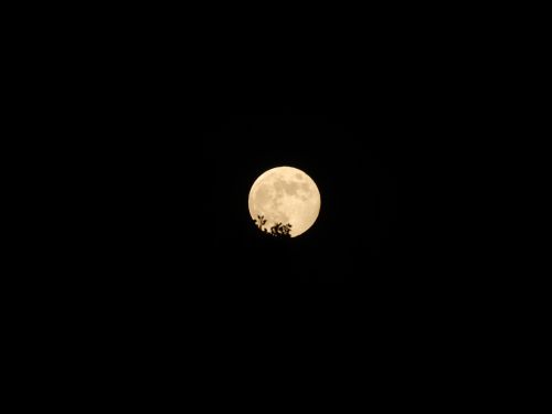 Eclissi di Luna – Penombra – Luna delle Fragole