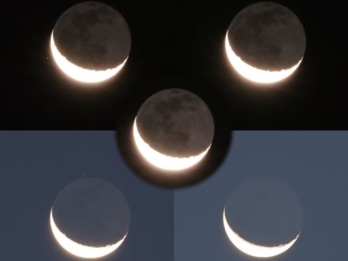 Occultazione di Asellus Borealis – Gamma Cancri – Luna in luce cinerea