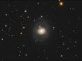 Galassia M77
