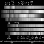 Fig.19 - Classificazione spettrale composta con le immagini ottenute a Libbiano