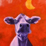 Mucca
