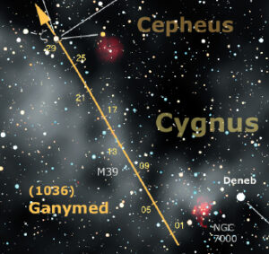 Cygnus