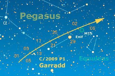 La C/2009 P1 (Garradd) sarà in luglio, da fine mese, l’unica cometa decentemente luminosa, al limite della rilevazione binoculare. Sarà possibile osservarla dalla mezzanotte in poi, alta una trentina di gradi sull’orizzonte est, situata nella parte ovest della costellazione di Pegaso. Il 29 luglio sarà in congiunzione con la luminosa stella Enif, mentre tra il 2/3 agosto potrebbe transitare sull’ammasso globulare M15.