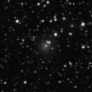 UGC11501