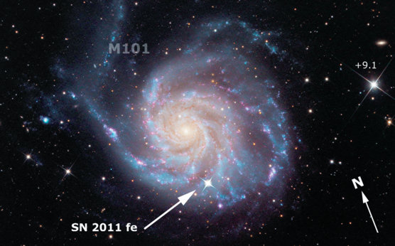 La galassia M101