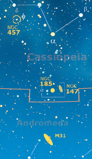 Cassiopeia Cassiopeia
