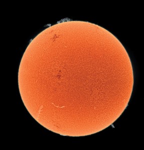Sole