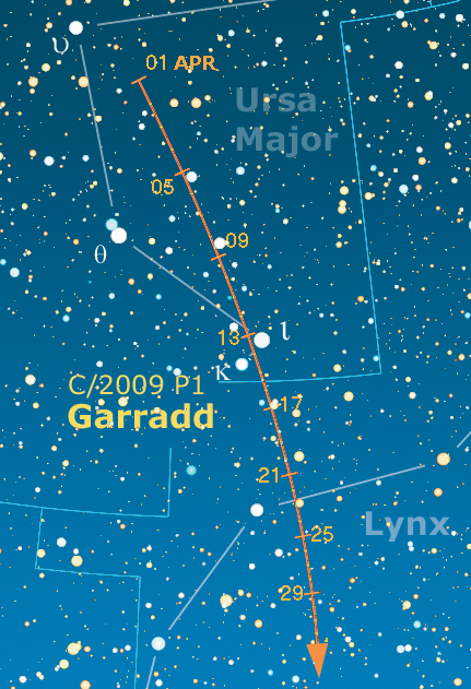 Il percorso apparente della Garradd in aprile, lungo circa 20°. Dopo aver toccato il mese scorso le estreme regioni boreali, la cometa tornerà a dirigersi verso sud, rimanendo tuttavia circumpolare nelle prime due decadi del mese, e quindi osservabile per tutta la notte. Notevole nei giorni 13-14 il suo transito tra le stelle kappa e iota dell’Orsa Maggiore.