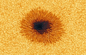 Sunspot 1445 
