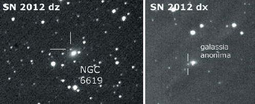 Un’estate di supernovae “discovered in Italy”