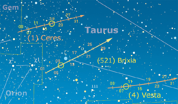 asteroidi 165