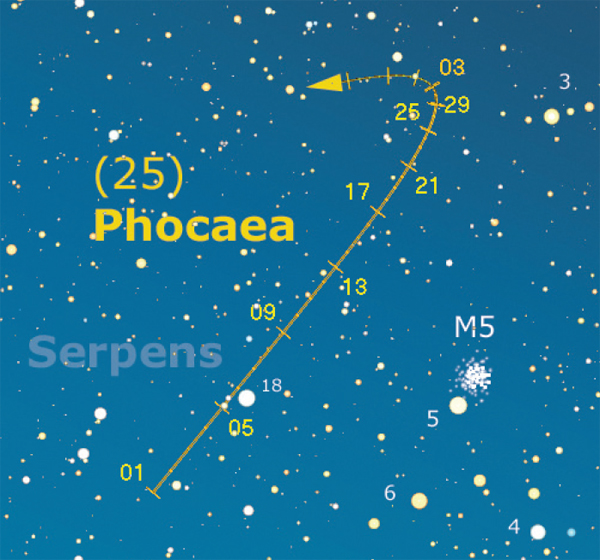 Asteroidi