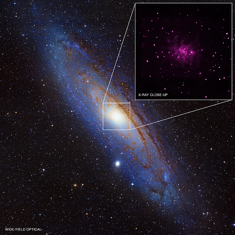 Andromeda buchi neri