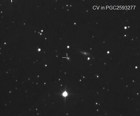 3) CV_PGC2593277