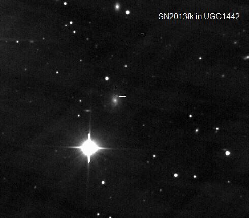 SN2013fk_ugc1442